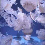 ヒメ日記 2025/10/18 12:33 投稿 こなつ 新宿スピン