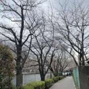 ヒメ日記 2025/10/22 11:07 投稿 こなつ 新宿スピン