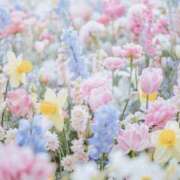 ヒメ日記 2025/09/26 02:22 投稿 初音 えみり CASA BIANCA（カーサ・ビアンカ）