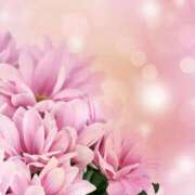 ヒメ日記 2026/01/11 05:43 投稿 初音 えみり CASA BIANCA（カーサ・ビアンカ）