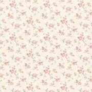 ヒメ日記 2025/08/20 13:52 投稿 りさ 萌えカワ