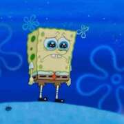 ヒメ日記 2025/07/30 13:24 投稿 まお セクシーキャット 小田原店