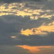 まお 19時までで｡ﾟ(ﾟ´ω`ﾟ)ﾟ｡ セクシーキャット 小田原店