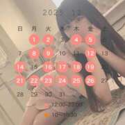 かえら 12月の予定💖 the SPA KADOEBI