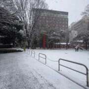 ヒメ日記 2026/02/08 10:12 投稿 かえら the SPA KADOEBI