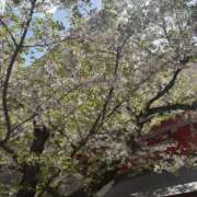 かえら 🌸 the SPA KADOEBI