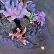 ヒメ日記 2025/10/22 01:06 投稿 江田みのり 五十路マダム姫路店