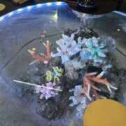 ヒメ日記 2025/10/29 10:34 投稿 江田みのり 五十路マダム姫路店