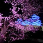 ヒメ日記 2026/04/06 11:32 投稿 江田みのり 五十路マダム姫路店