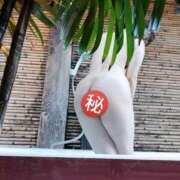 ヒメ日記 2025/08/17 12:00 投稿 ゆず 西船人妻花壇