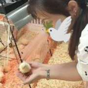 ヒメ日記 2025/08/30 23:16 投稿 ゆず 西船人妻花壇