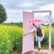 ヒメ日記 2025/09/03 00:23 投稿 ゆず 西船人妻花壇