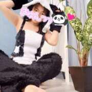 ヒメ日記 2025/09/25 01:06 投稿 ゆず 西船人妻花壇