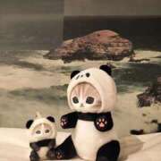 ヒメ日記 2025/11/11 13:23 投稿 ゆず 西船人妻花壇