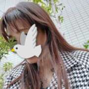 ヒメ日記 2025/11/11 15:51 投稿 ゆず 西船人妻花壇