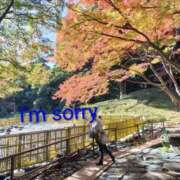 ヒメ日記 2025/11/17 20:51 投稿 ゆず 西船人妻花壇