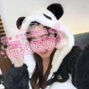 ヒメ日記 2025/12/29 00:13 投稿 ゆず 西船人妻花壇