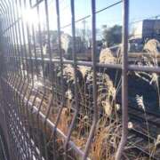 ヒメ日記 2026/01/09 16:03 投稿 ゆず 西船人妻花壇