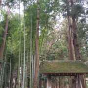 ヒメ日記 2026/02/12 09:05 投稿 ゆず 西船人妻花壇