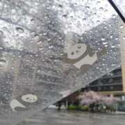 ヒメ日記 2026/03/31 17:47 投稿 ゆず 西船人妻花壇