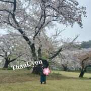 ヒメ日記 2026/04/04 14:14 投稿 ゆず 西船人妻花壇