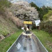 ヒメ日記 2026/04/07 05:07 投稿 ゆず 西船人妻花壇