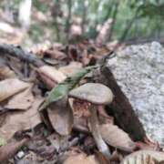 ヒメ日記 2026/04/09 18:34 投稿 ゆず 西船人妻花壇