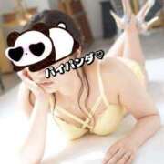 ヒメ日記 2026/04/13 11:16 投稿 ゆず 西船人妻花壇