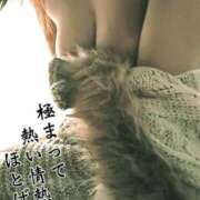 ヒメ日記 2026/05/22 01:40 投稿 ゆず 西船人妻花壇