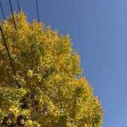 ヒメ日記 2025/11/27 09:40 投稿 あやか ふぞろいの人妻たち