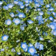 ヒメ日記 2026/03/11 09:10 投稿 あやか ふぞろいの人妻たち