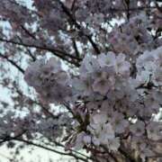 ヒメ日記 2026/04/01 19:30 投稿 あやか ふぞろいの人妻たち