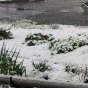 ヒメ日記 2025/12/04 17:35 投稿 斎藤 ゆきな 妻の友人