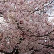 ヒメ日記 2026/04/01 09:35 投稿 斎藤 ゆきな 妻の友人