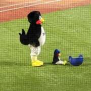 ヒメ日記 2026/04/09 18:45 投稿 斎藤 ゆきな 妻の友人