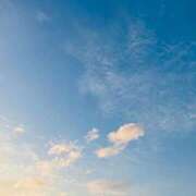 ヒメ日記 2025/07/29 16:15 投稿 笹山 ゆき 妻の友人