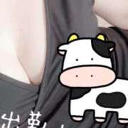 ヒメ日記 2025/07/30 15:35 投稿 笹山 ゆき 妻の友人