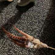 ヒメ日記 2025/08/14 11:35 投稿 笹山 ゆき 妻の友人