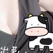 ヒメ日記 2025/11/20 13:16 投稿 笹山 ゆき 妻の友人