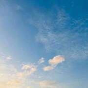 ヒメ日記 2025/12/05 12:45 投稿 笹山 ゆき 妻の友人