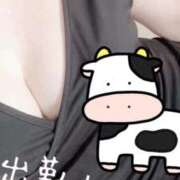 ヒメ日記 2026/01/30 15:35 投稿 笹山 ゆき 妻の友人