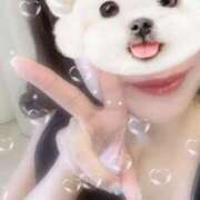 ヒメ日記 2025/08/01 15:54 投稿 Nagomi THE MUSE