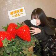 ヒメ日記 2026/02/02 23:48 投稿 のん ノーパンエステ!?絶頂させる天使たち