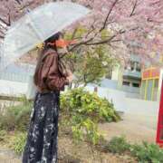 ヒメ日記 2026/03/25 20:48 投稿 のん ノーパンエステ!?絶頂させる天使たち