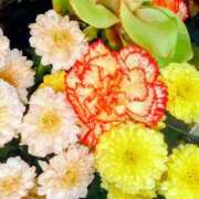 ヒメ日記 2025/09/29 19:48 投稿 遠藤　出雲 30・40・50代☆人妻熟女コレクション