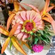 ヒメ日記 2025/10/25 17:35 投稿 遠藤　出雲 30・40・50代☆人妻熟女コレクション