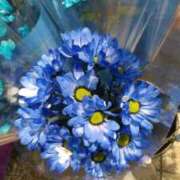 ヒメ日記 2025/11/05 14:59 投稿 遠藤　出雲 30・40・50代☆人妻熟女コレクション