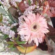 ヒメ日記 2025/11/20 14:46 投稿 遠藤　出雲 30・40・50代☆人妻熟女コレクション