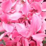 ヒメ日記 2025/12/09 14:01 投稿 遠藤　出雲 30・40・50代☆人妻熟女コレクション