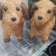 ヒメ日記 2025/12/10 14:45 投稿 遠藤　出雲 30・40・50代☆人妻熟女コレクション